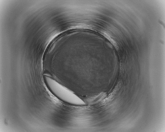 X0000095920988200802011209