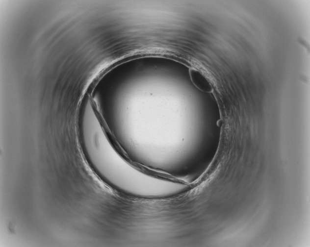 X0000095920989200802011209