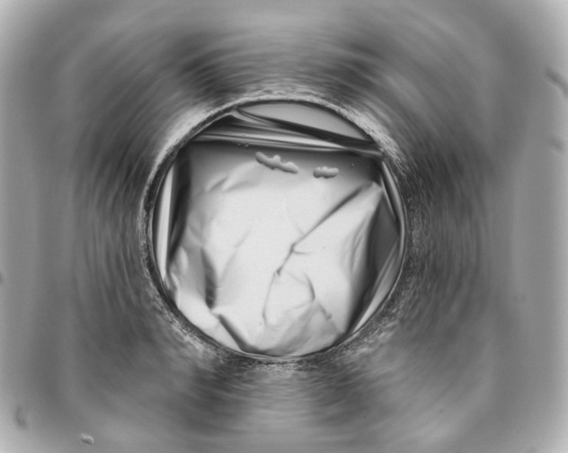 X0000095920990200802011209