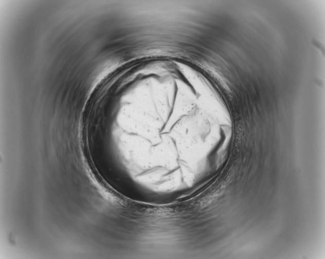 X0000095920991200802011209