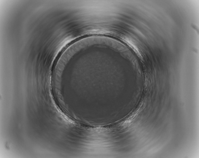 X0000095920992200802011209