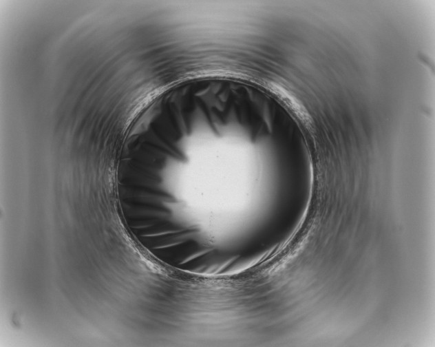 X0000095920993200802011209