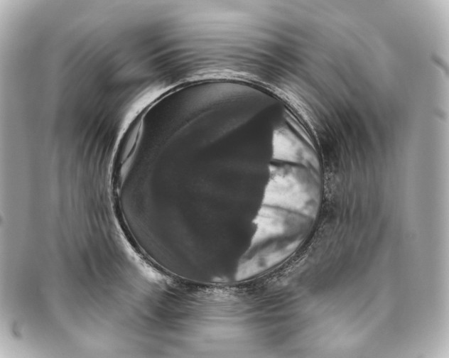 X0000095920995200802011209