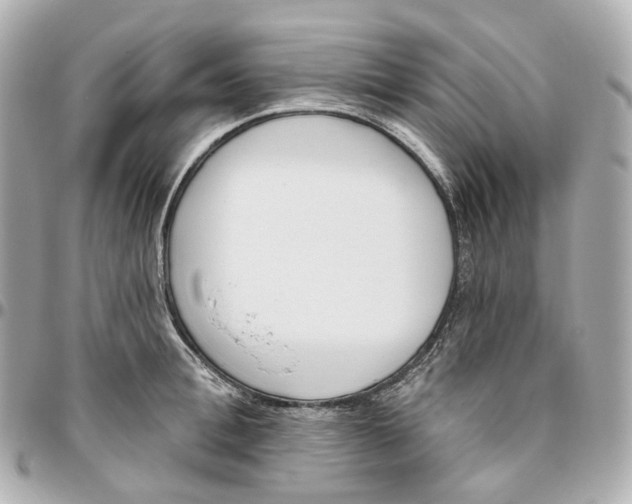 X0000095920996200802011209