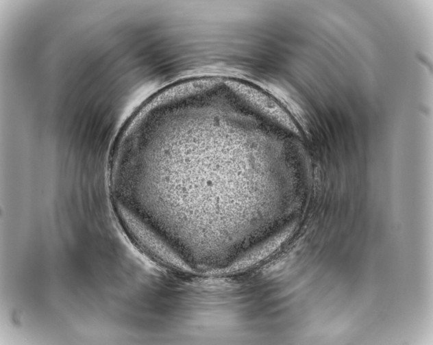 X0000095920998200802011209