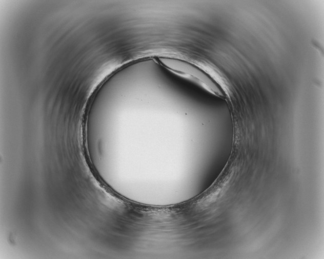 X0000095920999200802011209