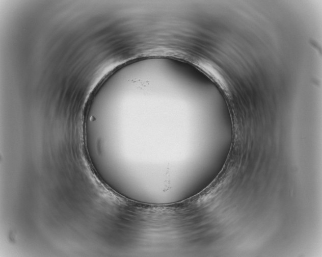 X0000095921000200802011209