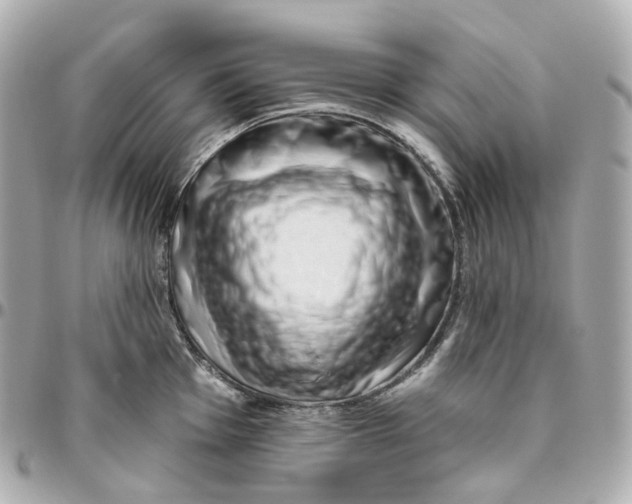 X0000095921001200802011209