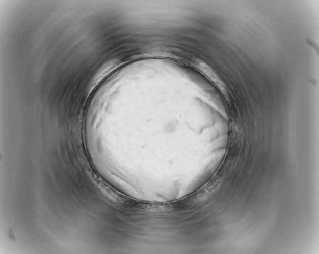 X0000095921002200802011209