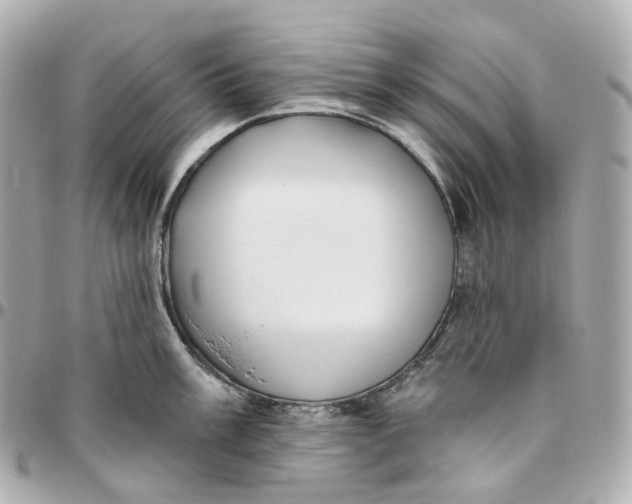 X0000095921003200802011209