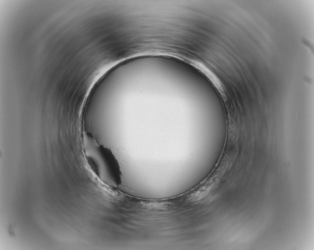 X0000095921004200802011209