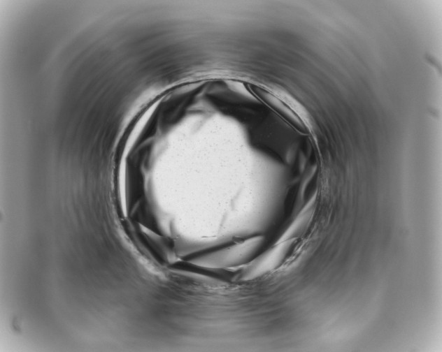 X0000095921005200802011209