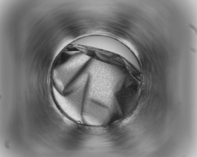 X0000095921007200802011209