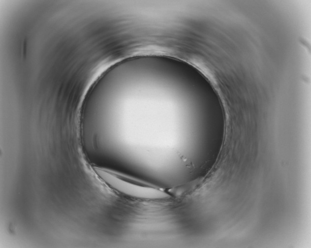 X0000095921008200802011209