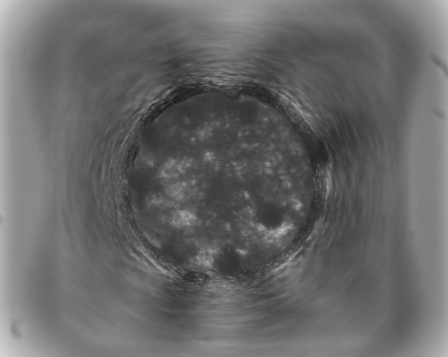 X0000095921009200802011208