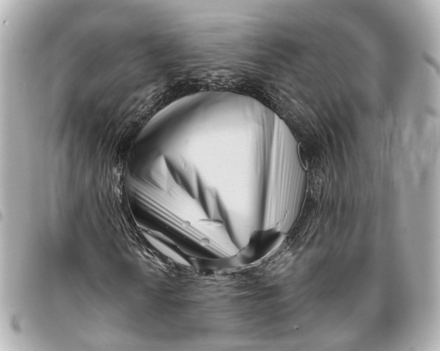 X0000095921010200802011208