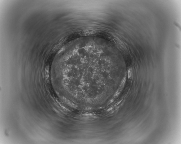 X0000095921011200802011208