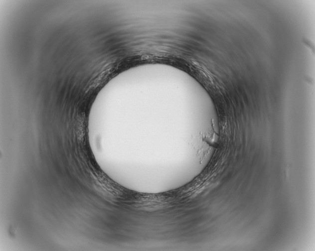 X0000095921012200802011208