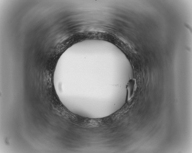 X0000095921013200802011208