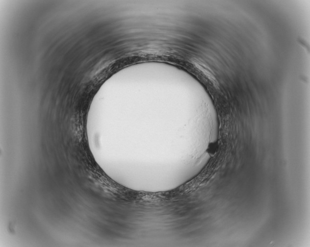 X0000095921015200802011208