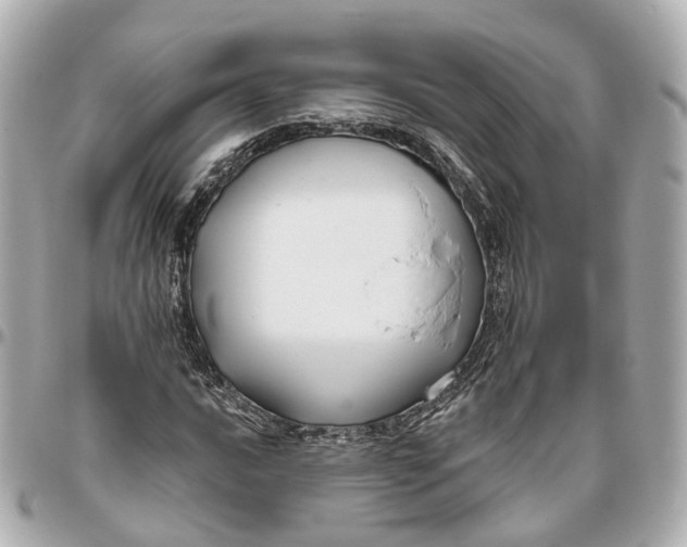 X0000095921016200802011208