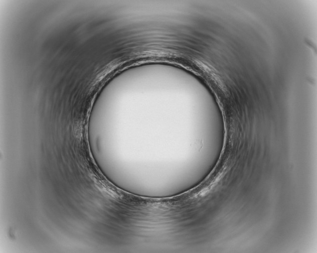 X0000095921017200802011208