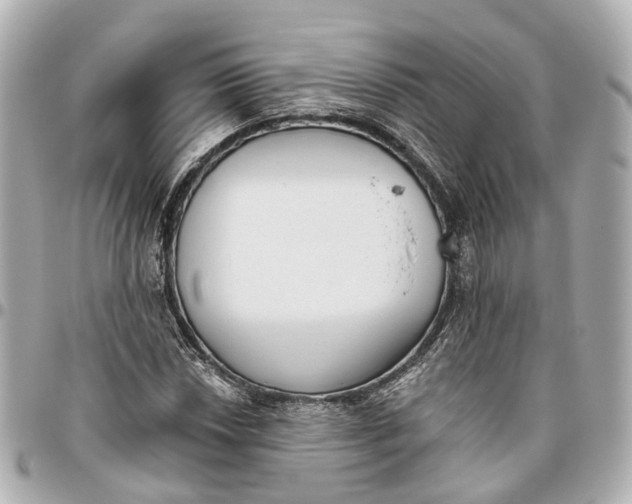 X0000095921018200802011208