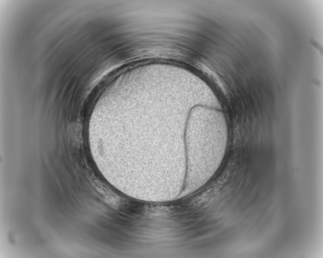 X0000095921019200802011208