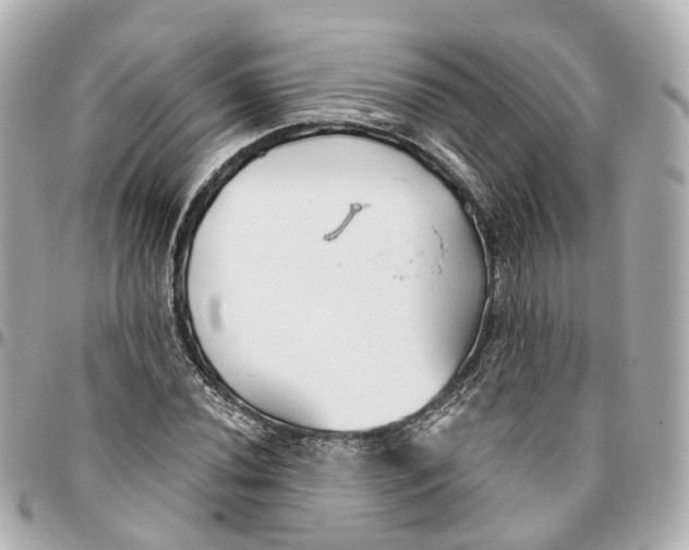 X0000095921020200802011208