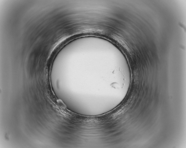 X0000095921021200802011208