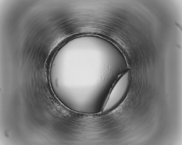 X0000095921022200802011208