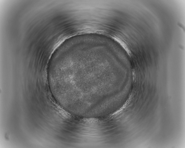 X0000095921023200802011208