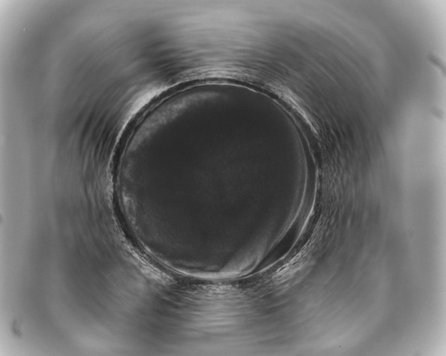 X0000095921024200802011208