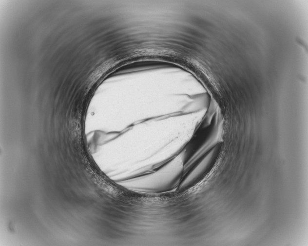 X0000095921025200802011208