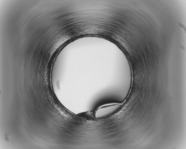 X0000095921026200802011208