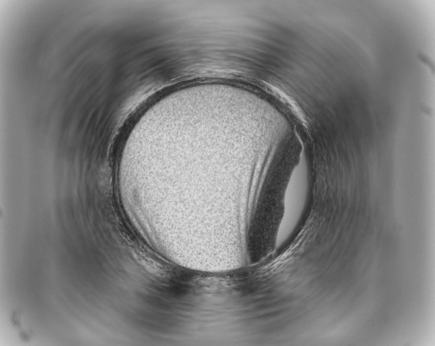 X0000095921027200802011208