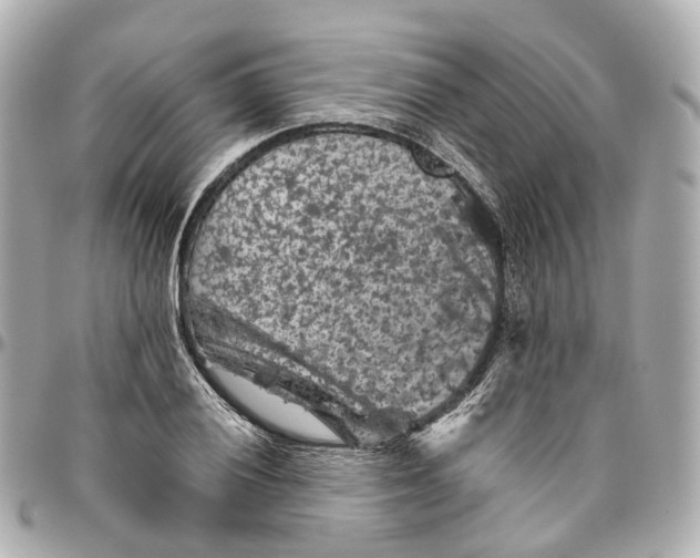 X0000095921028200802011208