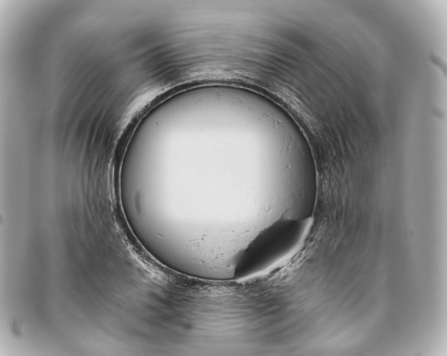 X0000095921030200802011208