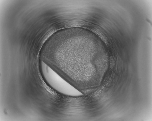 X0000095921031200802011208