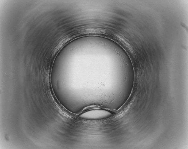 X0000095921033200802011208