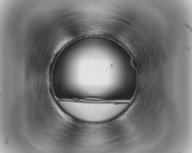 X0000095921034200802011208