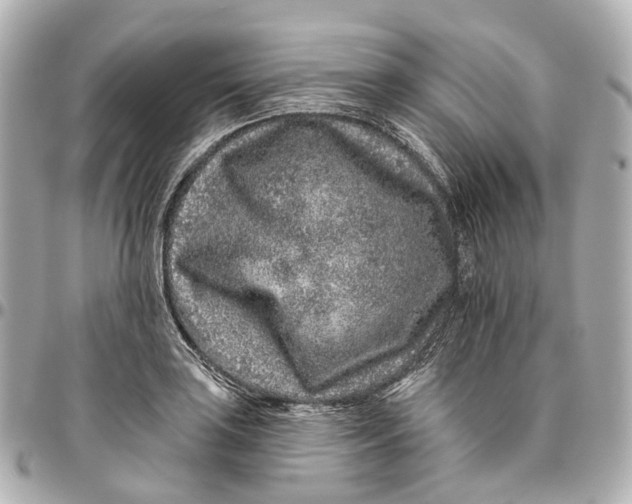 X0000095921035200802011208