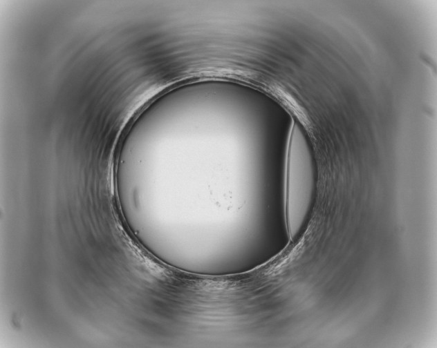 X0000095921036200802011208