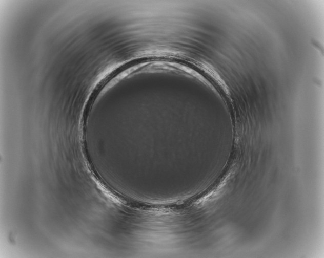 X0000095921037200802011208