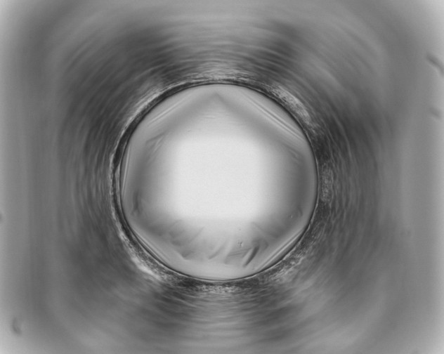 X0000095921039200802011208