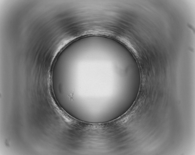 X0000095921040200802011208