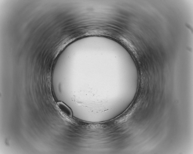 X0000095921041200802011208