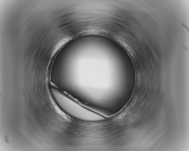 X0000095921042200802011208