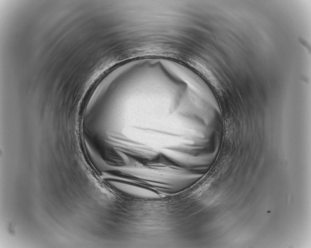 X0000095921043200802011208