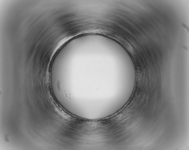 X0000095921044200802011208